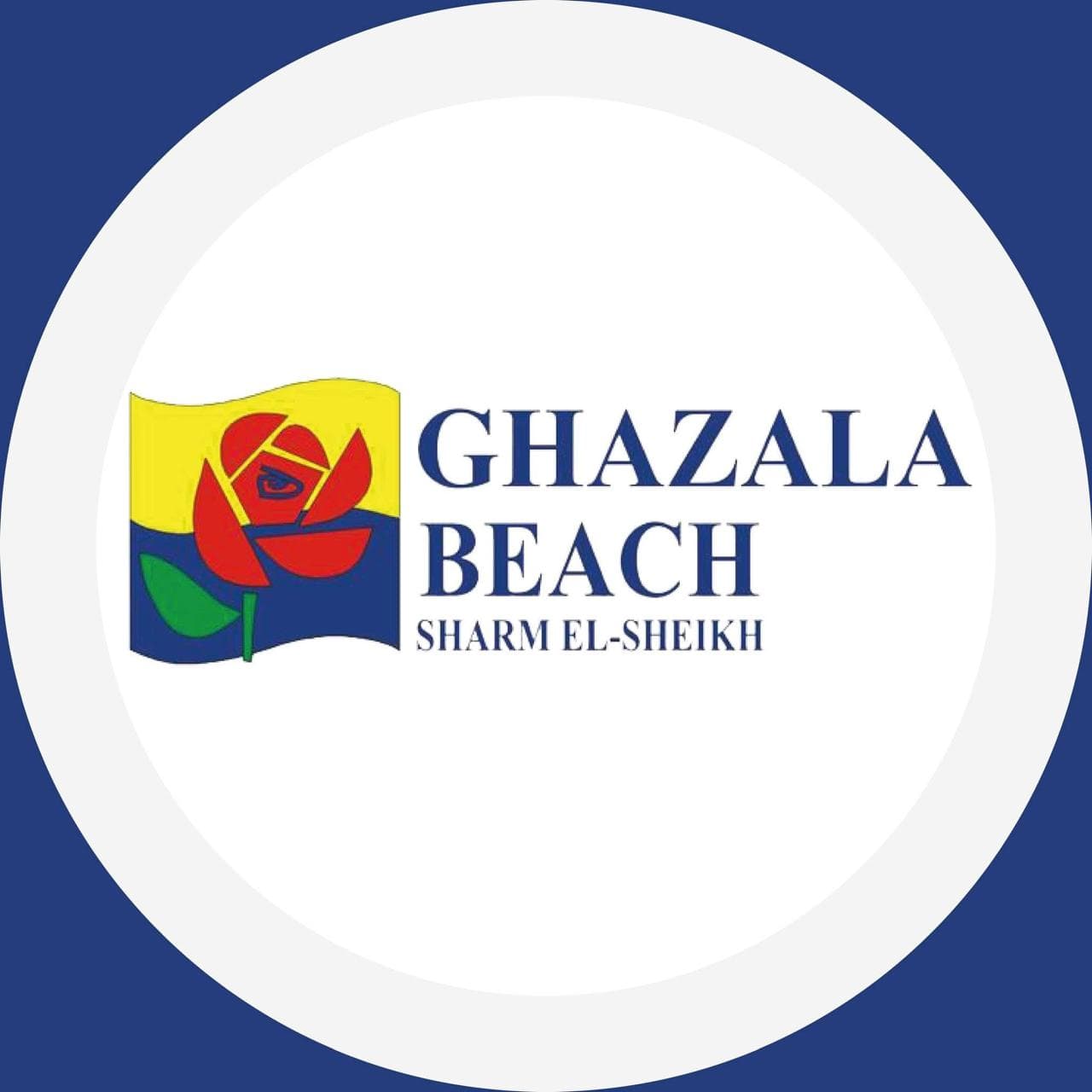 Partner Logo